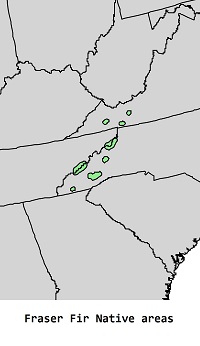 Fraser fir, native growing areas