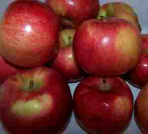 Apples